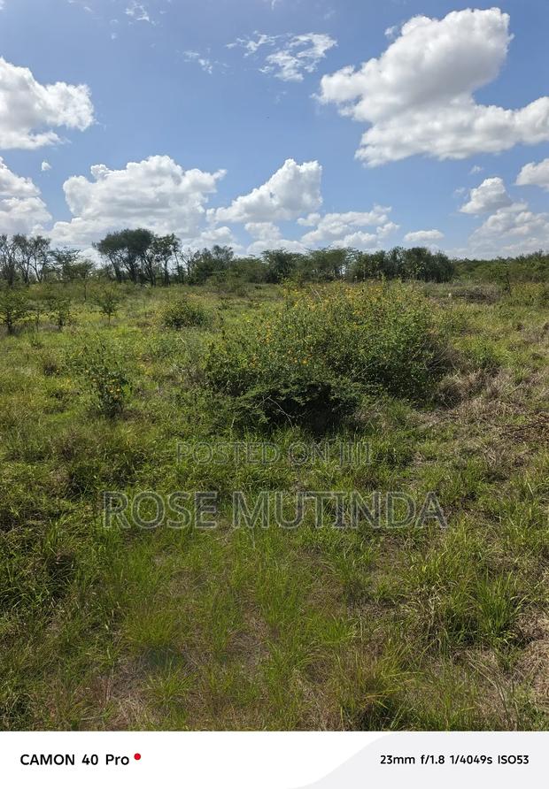 100 by 100 at Kathaana - thumbnail 5