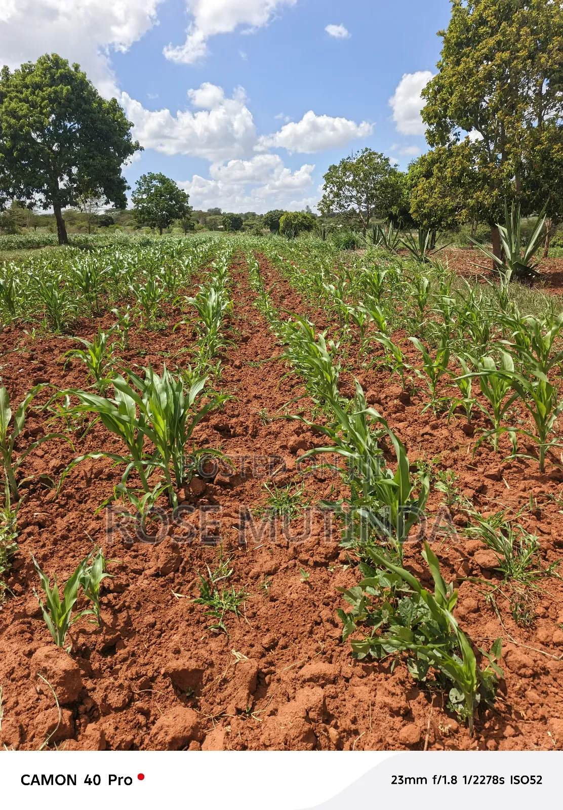 2acres at Kenol Road