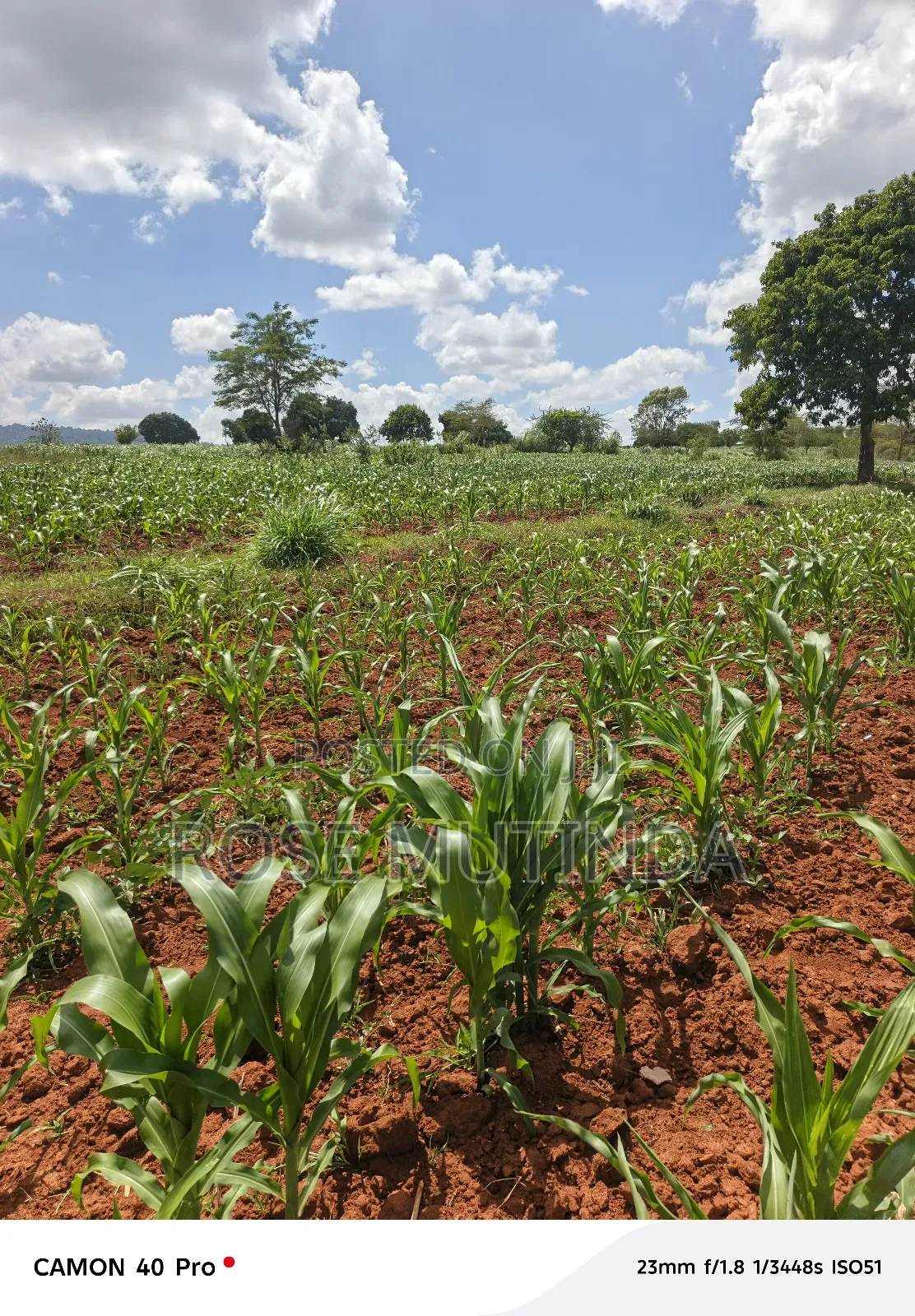 2acres at Kenol Road