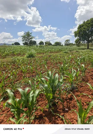2acres at Kenol Road