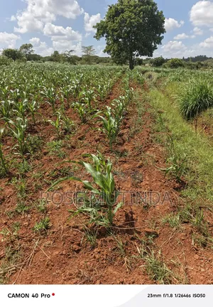 2acres at Kenol Road