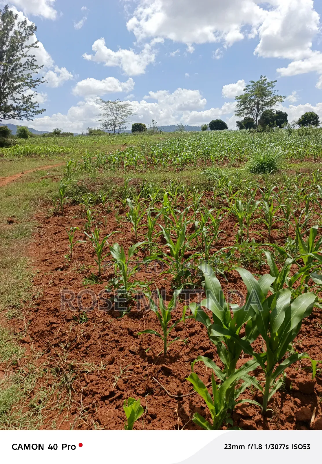 2acres at Kenol Road