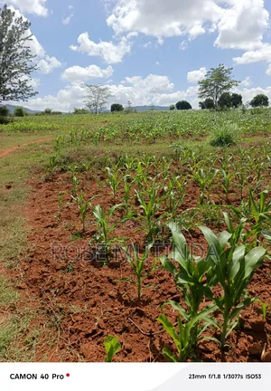 2acres at Kenol Road