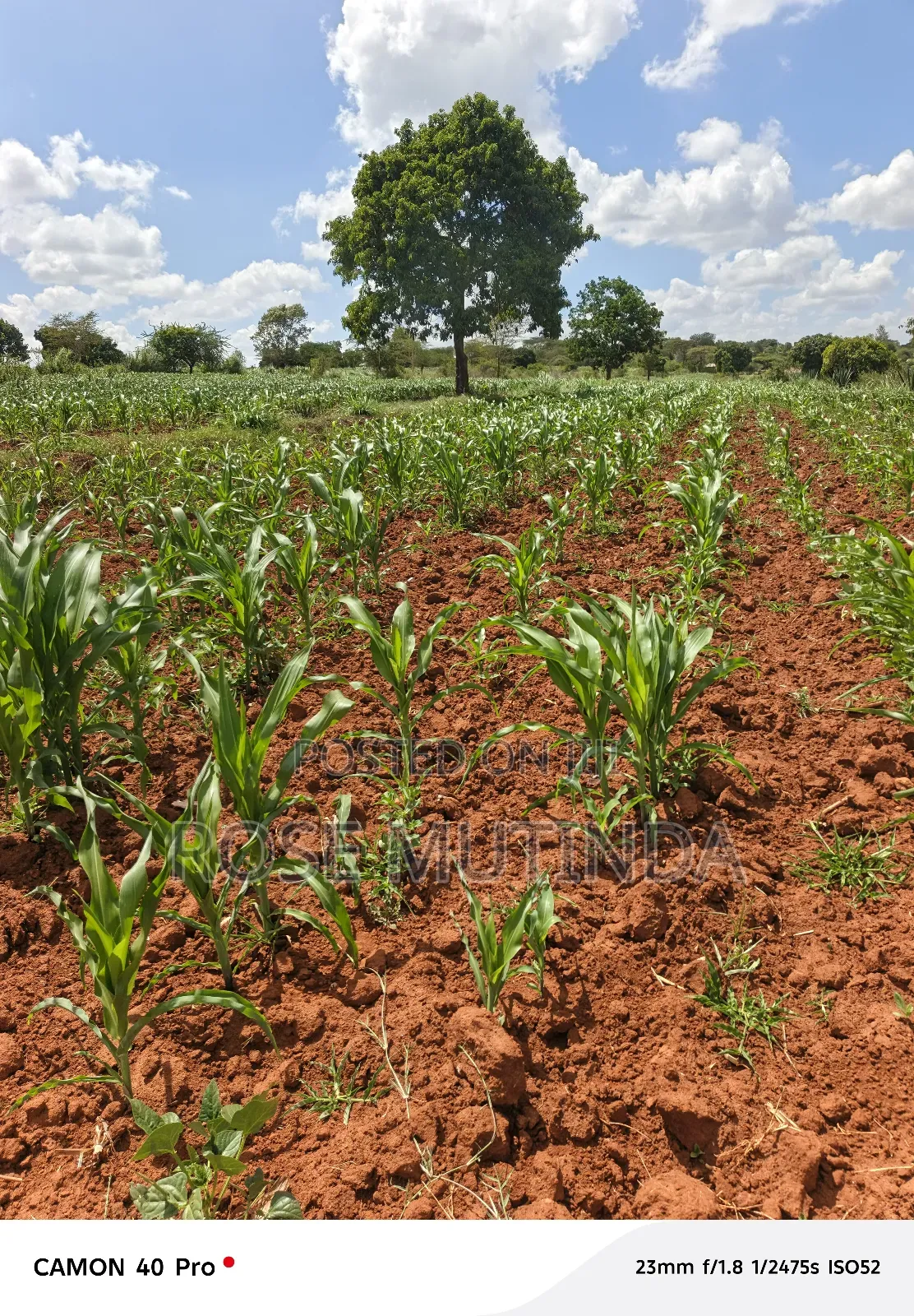 2acres at Kenol Road