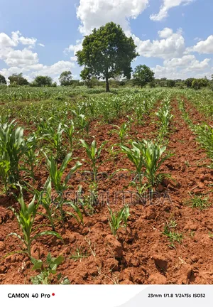 2acres at Kenol Road