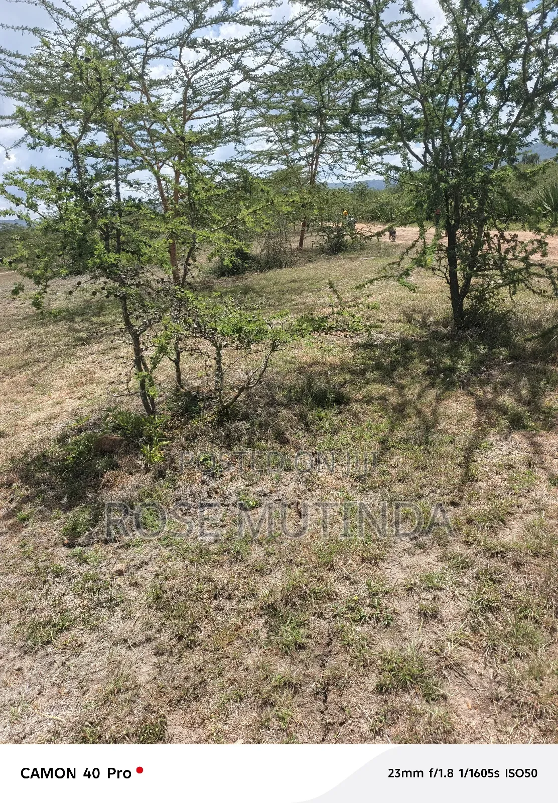 5acrers at Kenol / Kangundo Road