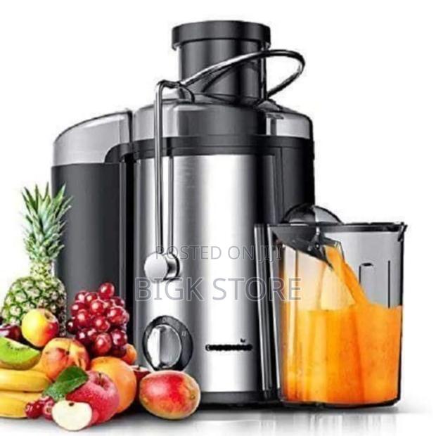Ramtons Juicer Rm598 800watts - main view
