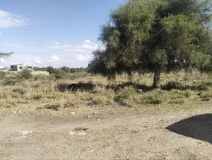 Kitengela Very Prime Land, Ideal for Town House