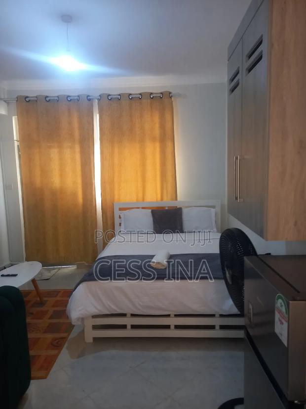 Studio Abnb at 2000 - thumbnail 5