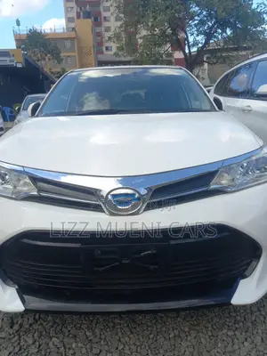 Toyota Corolla Fielder 2019 White