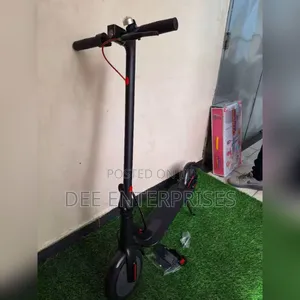 Adult Electric Scooter
