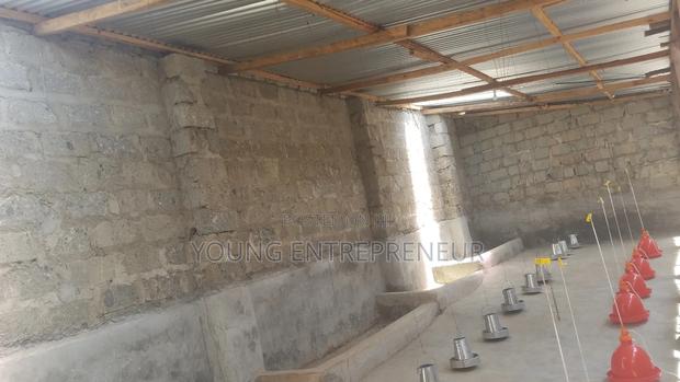 Farm House For Rent