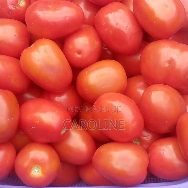 Fresh Fresh Tomatoes