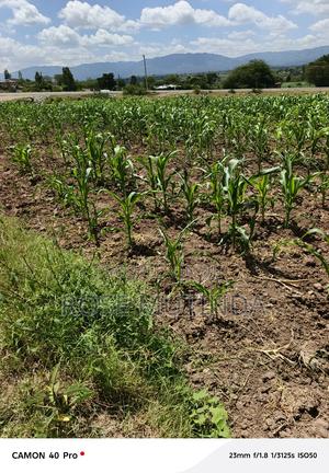 100 By 100 At Kathaana - thumbnail 2