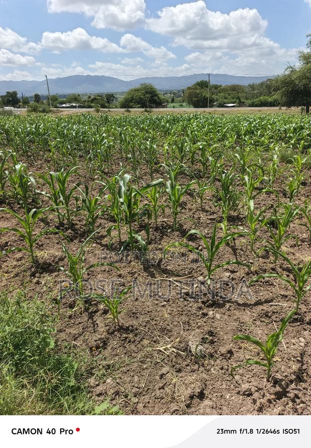 100 By 100 At Kathaana - thumbnail 3