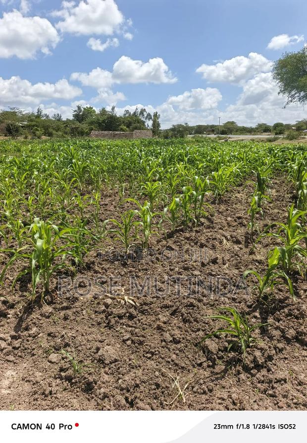 100 By 100 At Kathaana - thumbnail 4