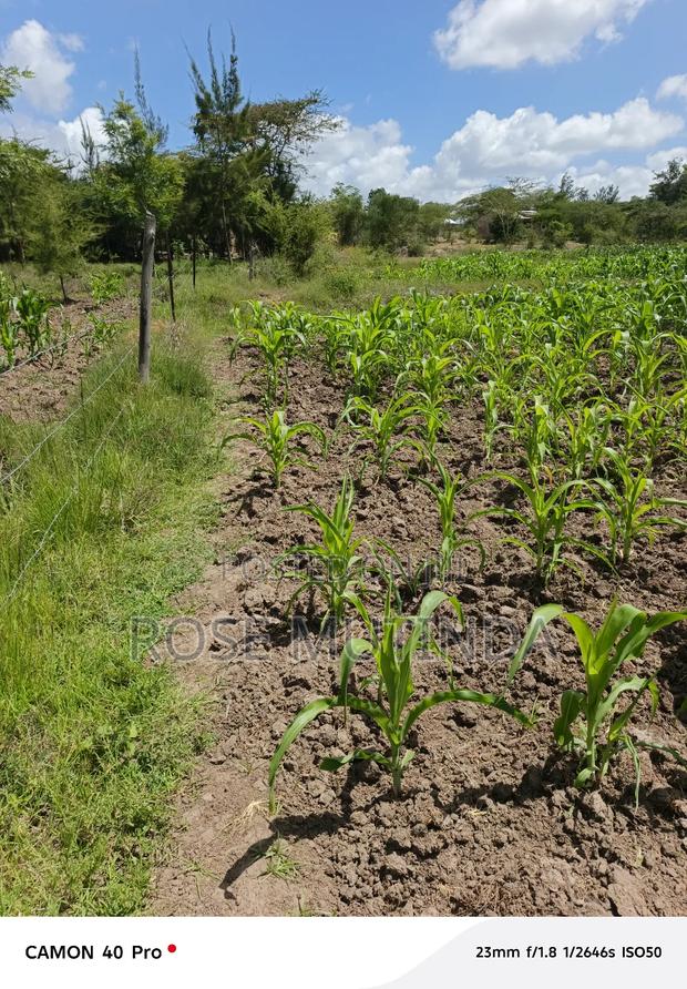 100 By 100 At Kathaana - thumbnail 5