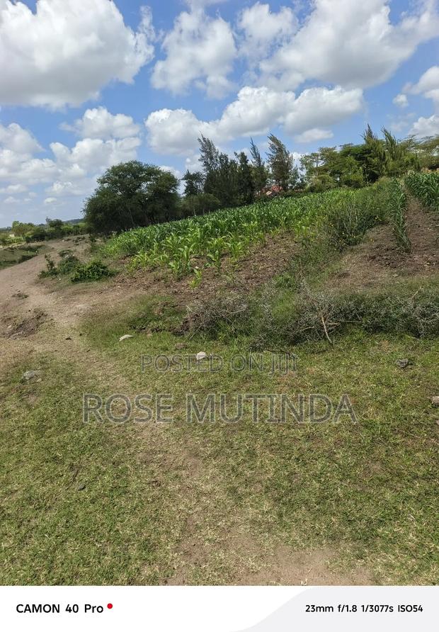 100 By 100 At Kathaana - thumbnail 6