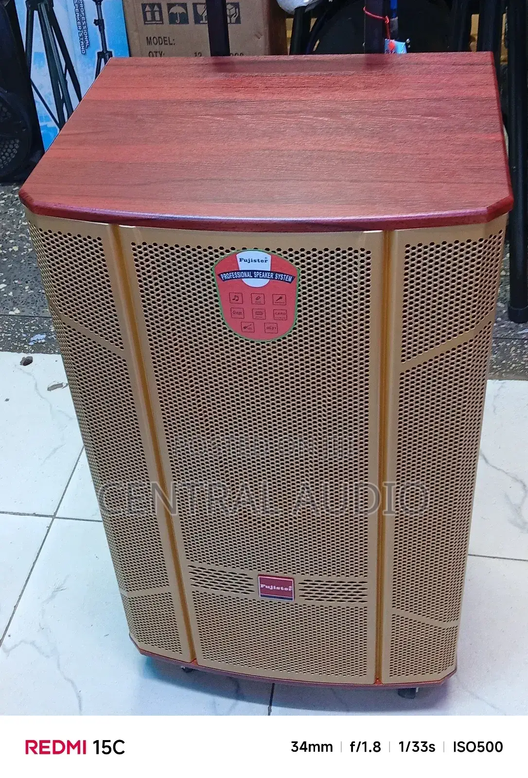 Fujister F-605 Portable Powered Speaker