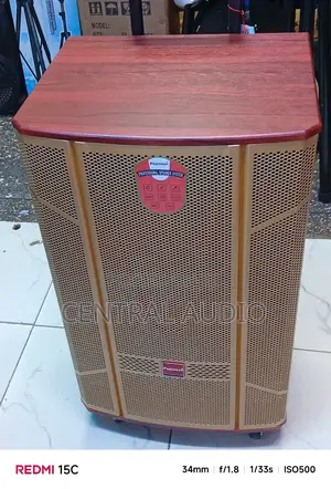 Fujister F-605 Portable Powered Speaker