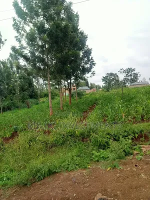 Half an Acre Plot on Sale at Kenol