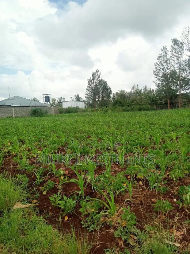 Half an Acre Plot on Sale at Kenol - thumbnail 3