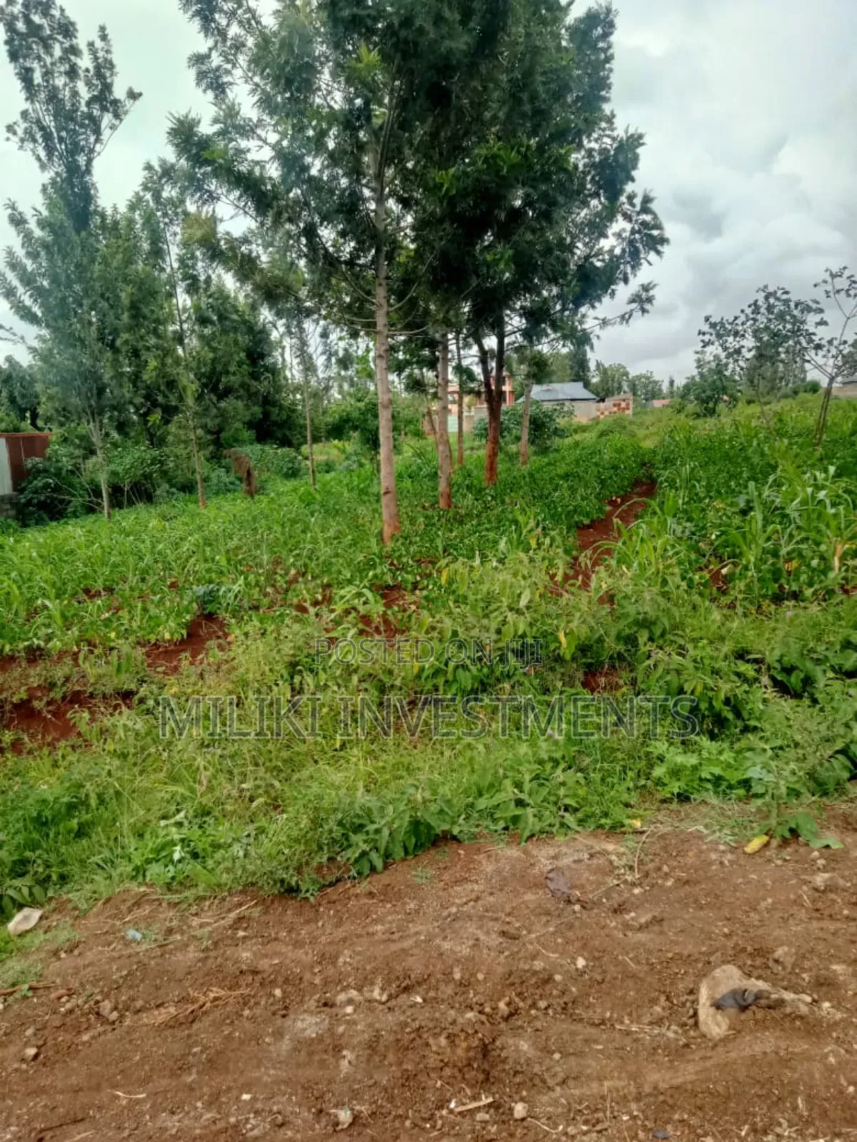 Half an Acre Plot on Sale at Kenol