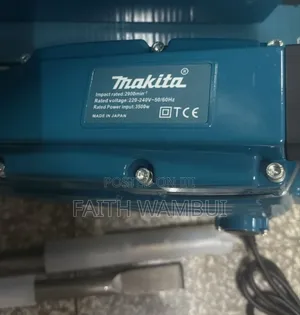 Professional Makita Demolisher/Demolisher