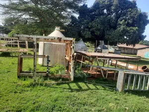 Scrap Metals Collector