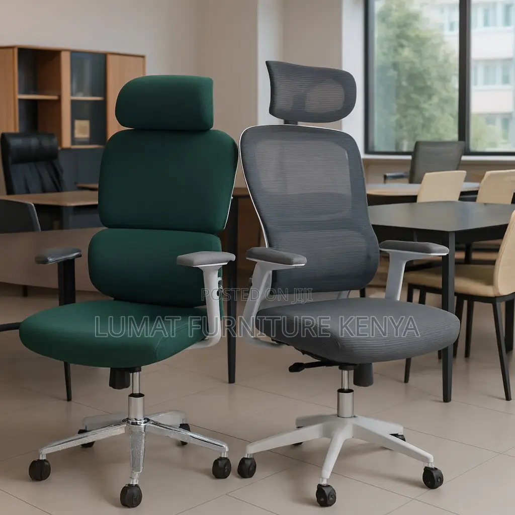 Lumbar Support Health Chair