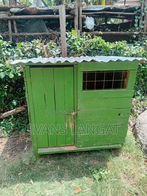 Dog Kennel - Available at Matasia Near Kiserian - thumbnail 2