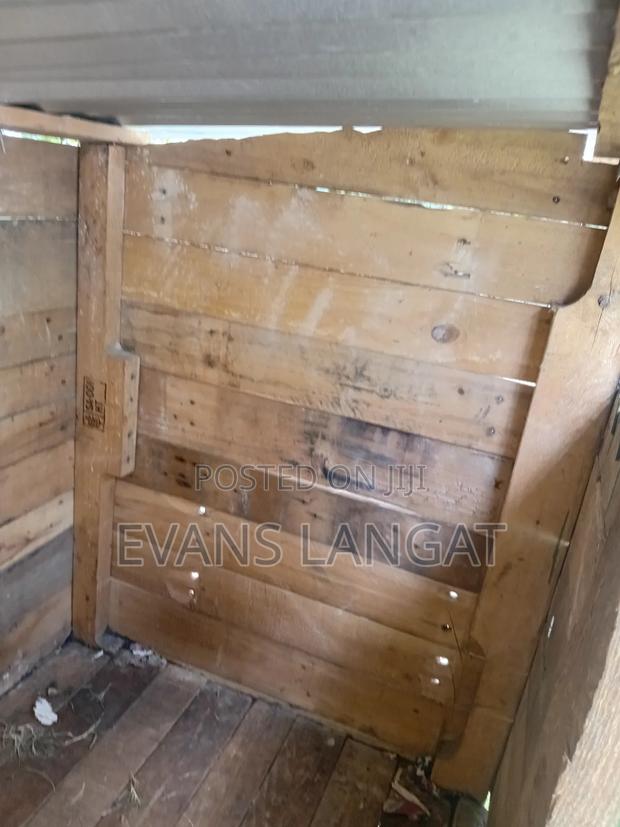 Dog Kennel - Available at Matasia Near Kiserian - thumbnail 4