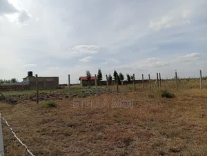 Ruiru-Kamakis Plots