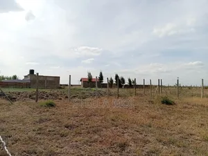 Ruiru-Kamakis Plots