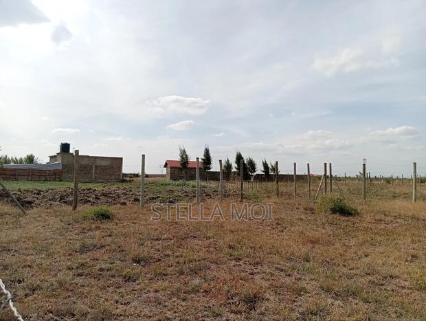 Ruiru-Kamakis Plots - thumbnail 6