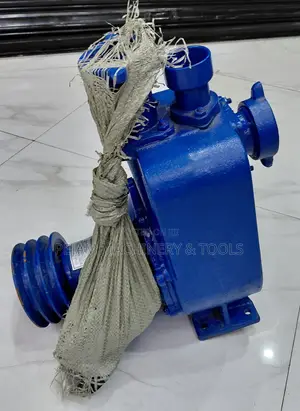 Aico 2" 50bpz High Pressure Bare Pump