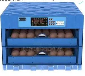 Eggs Incubator
