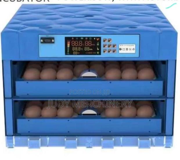 Eggs Incubator