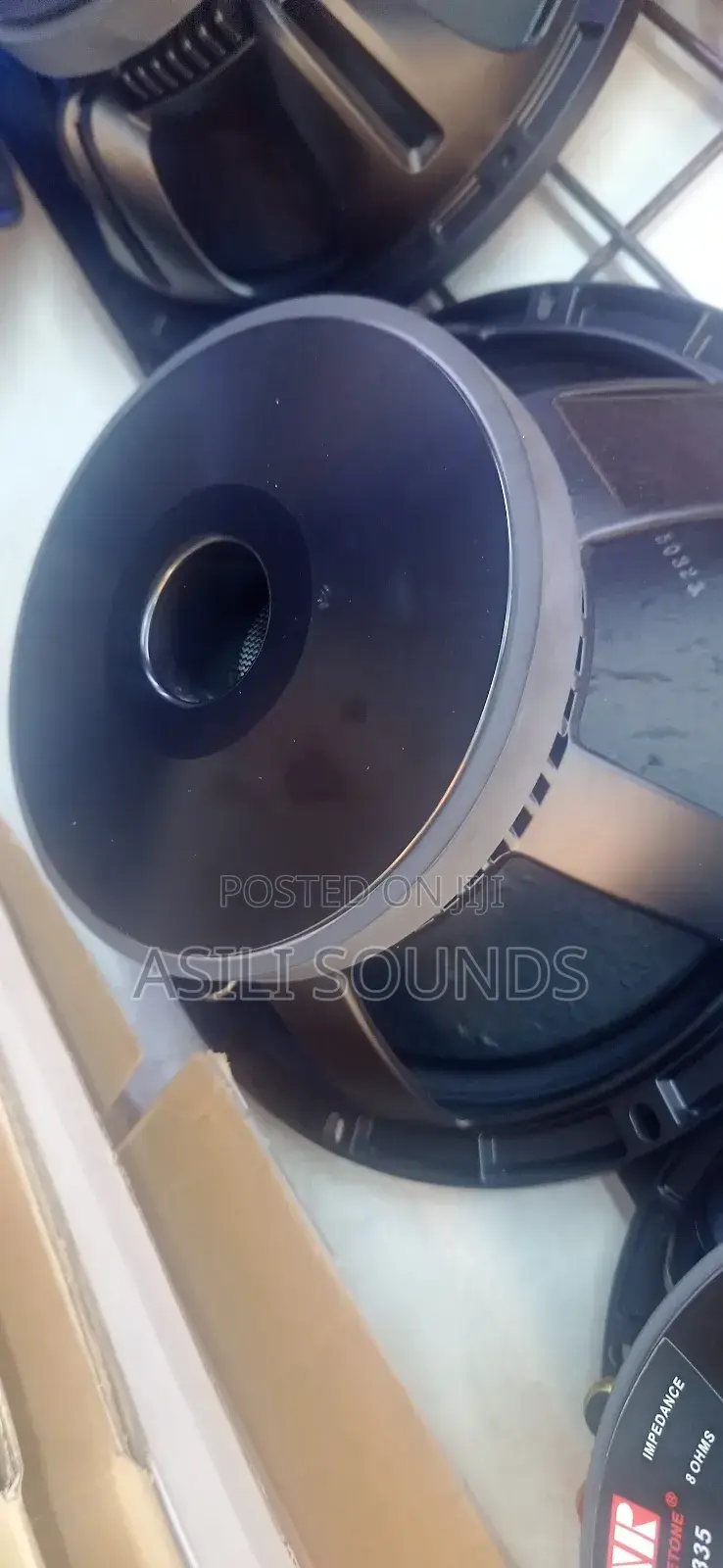 Derwel 12 Inches Speaker