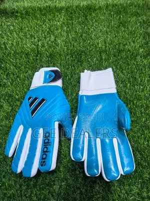 Adidas Goalkeeper Gloves