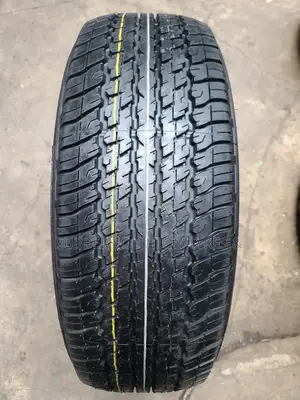 255/65r17 Dunlop Tyres Grandtrek a/T25