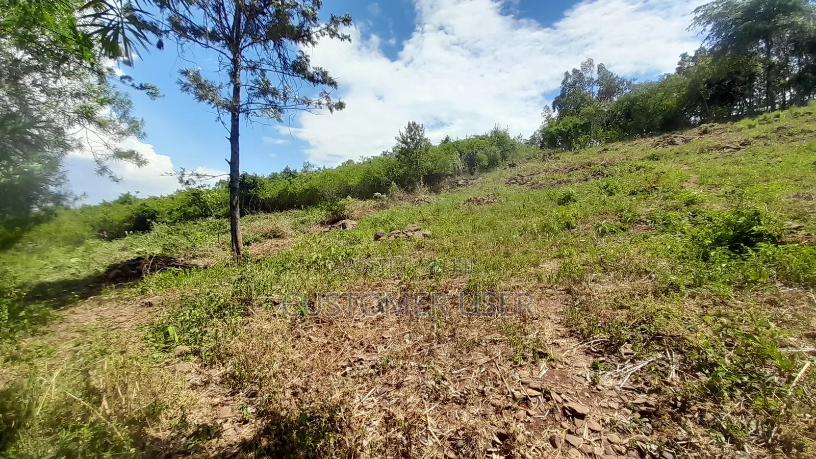 Plot for Sale in Ukweli, Kisumu, 0.15 Acre, Ready Title Deed.