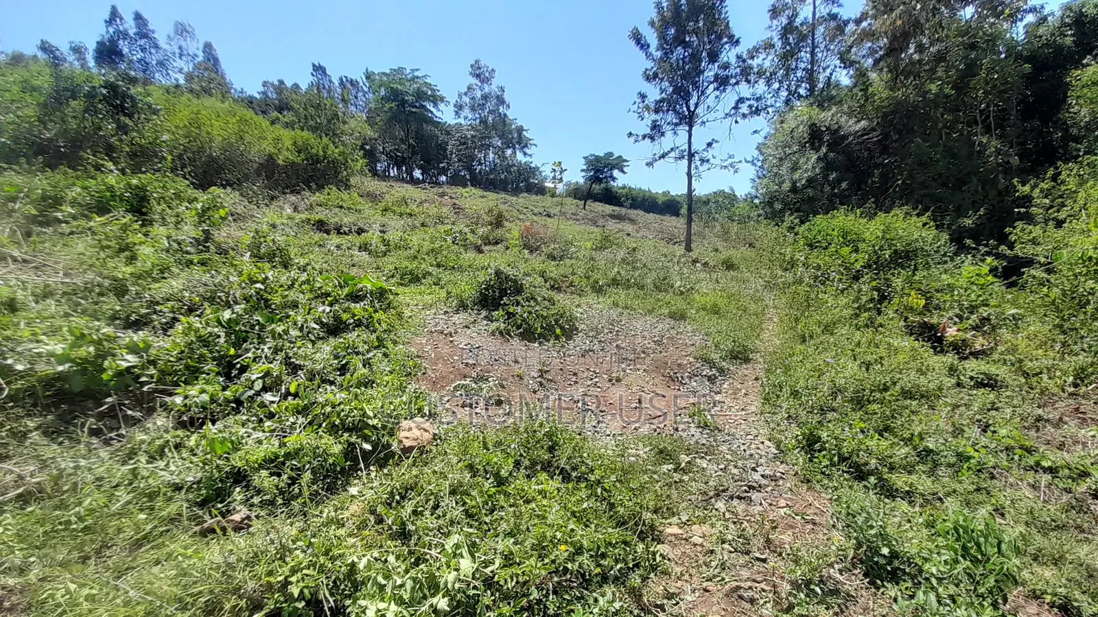 Plot for Sale in Ukweli, Kisumu, 0.15 Acre, Ready Title Deed.