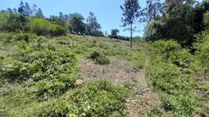 Plot for Sale in Ukweli, Kisumu, 0.15 Acre, Ready Title Deed.