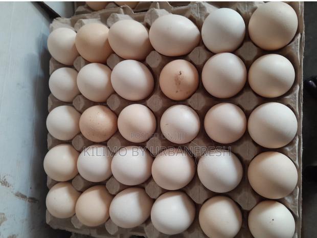 Table Eggs : Layers , Improved , Pure Kienyeji. Moq 10 Trays - thumbnail 5