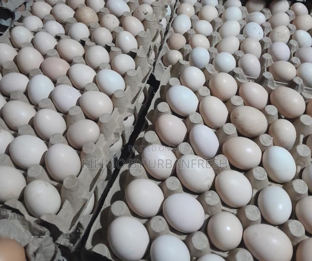 Table Eggs : Layers , Improved , Pure Kienyeji. Moq 10 Trays - thumbnail 6