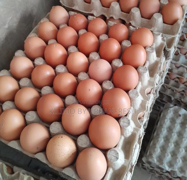 Table Eggs : Layers , Improved , Pure Kienyeji. Moq 10 Trays - thumbnail 7