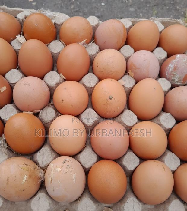 Table Eggs : Layers , Improved , Pure Kienyeji. Moq 10 Trays - thumbnail 8
