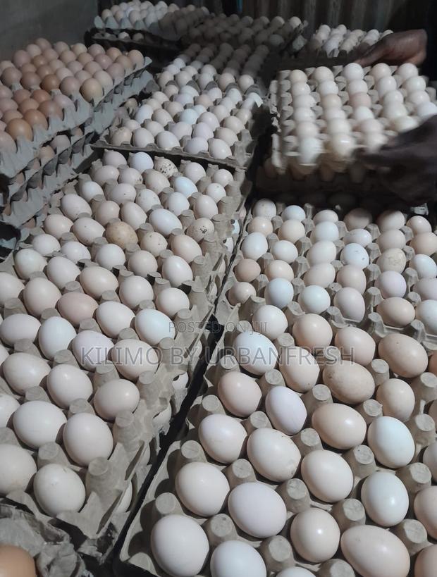 Table Eggs : Layers , Improved , Pure Kienyeji. Moq 10 Trays - thumbnail 4