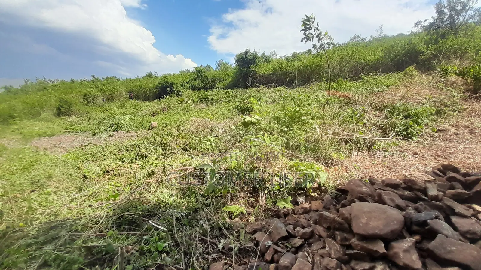 Plot for Sale in Ukweli, Kisumu, 0.15 Acre, Ready Title Deed.